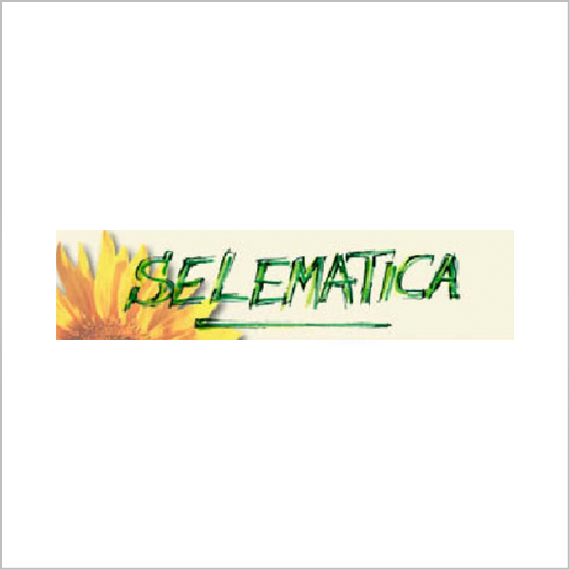 Selematica Logo