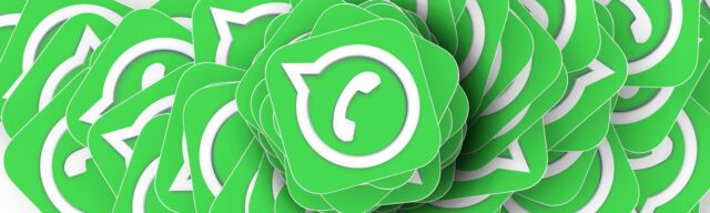 WhatsApp Newton